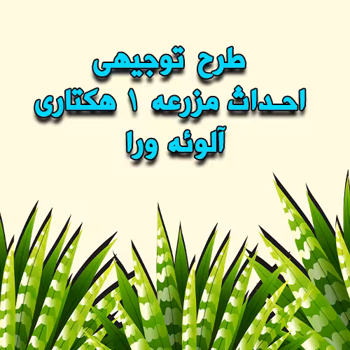 خرید و دانلود طرح توجیهی احداث مزرعه 1 هکتاری آلوئه ورا