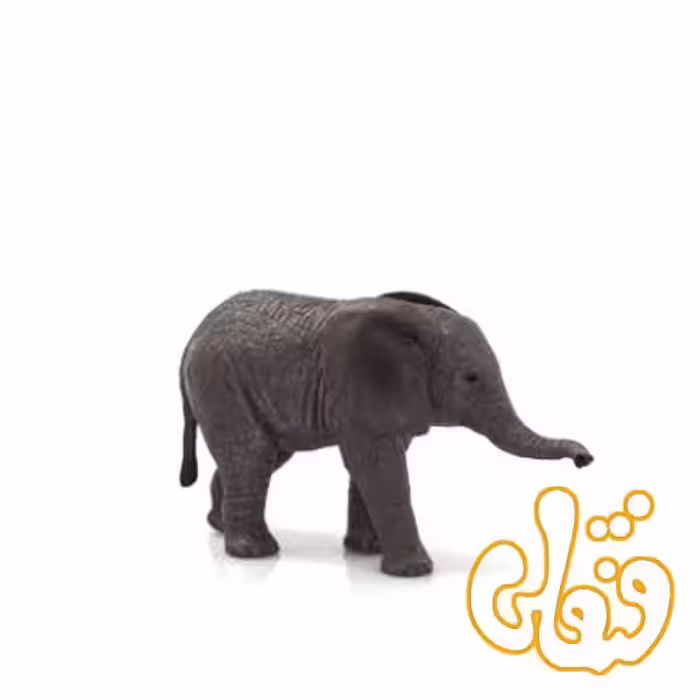 بچه فیل آفریقایی African Elephant Calf 387190