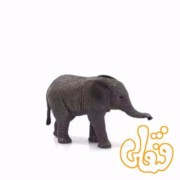 بچه فیل آفریقایی African Elephant Calf 387190