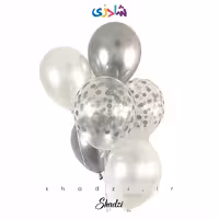 پک 6عددی نقره ای