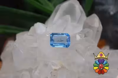 بلوتوپاز سوئیس