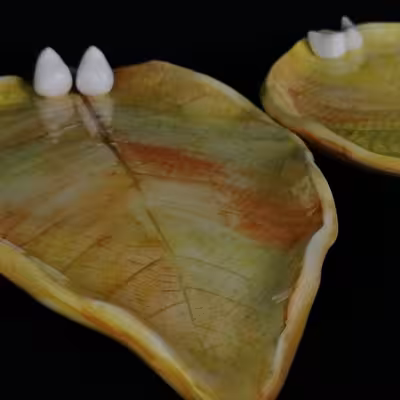 شیرینی خوری سرامیکی هیوا طرح برگ پاییز کد 10918872 مجموعه 2عددی 