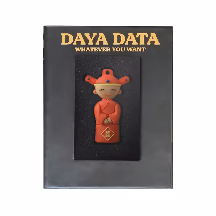 فلش مموری دایا دیتا طرح داماد مدل PF1011 ظرفیت 64 گیگابایت