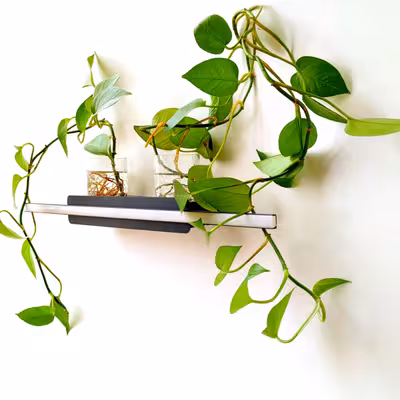 چراغ دیواری الکتروتک آرانا مدل WL103BL