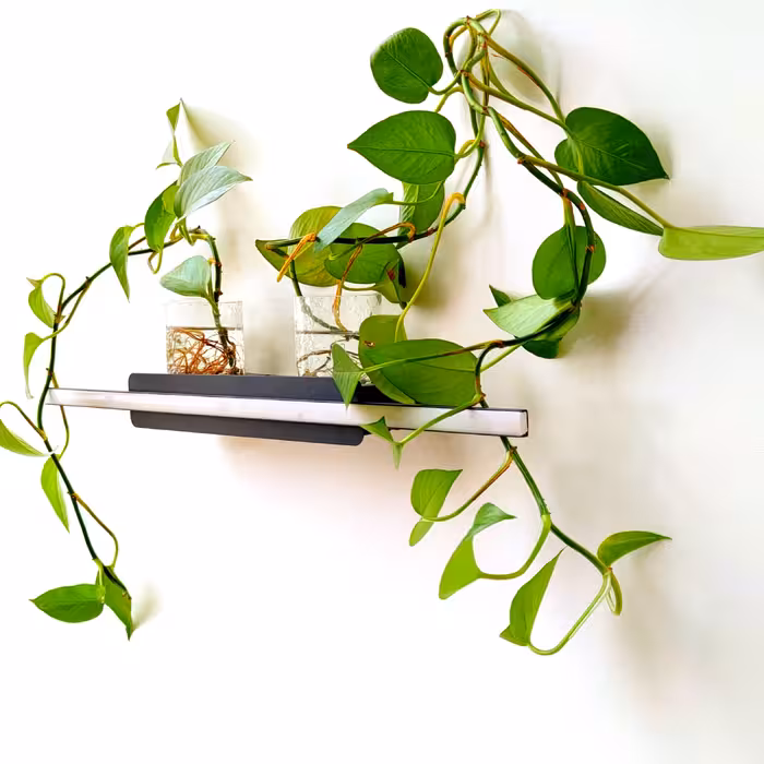 چراغ دیواری الکتروتک آرانا مدل WL103BL