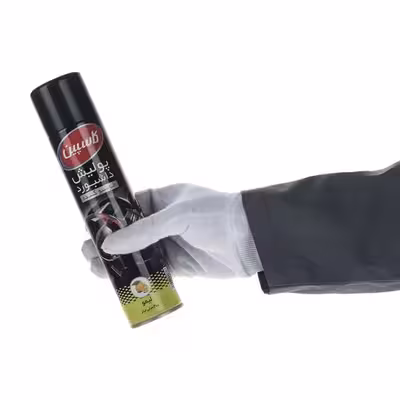 اسپری داشبورد خودرو کاسپین مدل Lemon &amp; Mountain حجم 300 میلی لیتر مجموعه 2 عددی