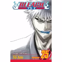 Bleach v25