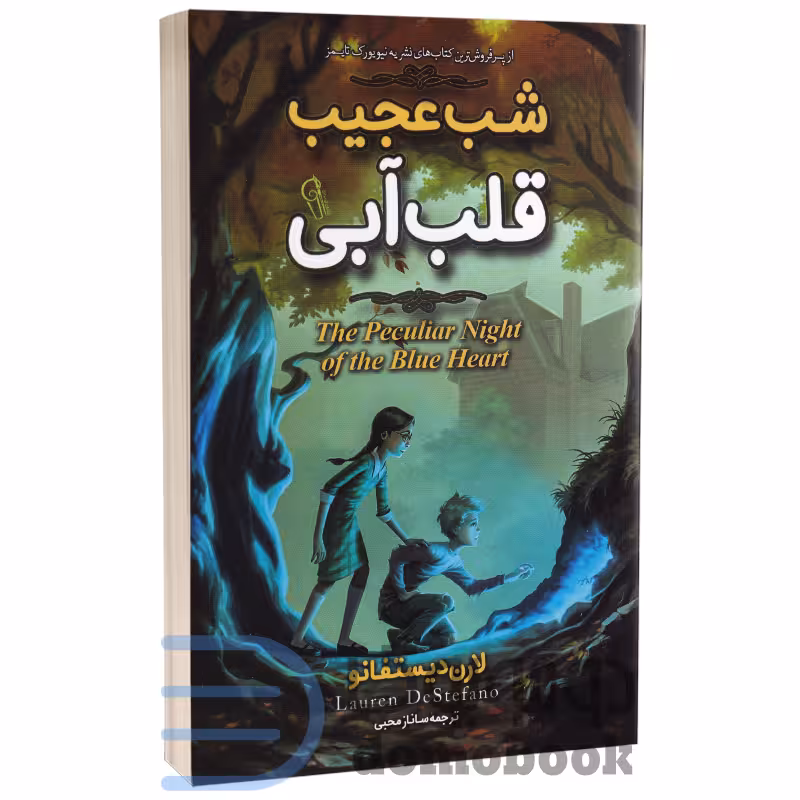 کتاب شب عجیب قلب آبی اثر لارن دیستفانو انتشارات آزرمیدخت