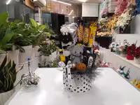 باکس استوانه عروسک بره ناقلا و موش