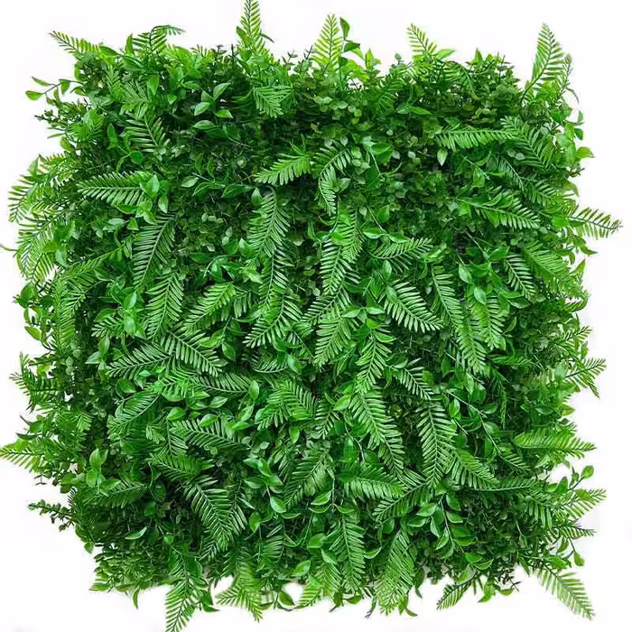 گرین وال سیکاس