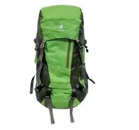 کوله پشتی کوهنوردی 65 لیتری دیوتر سبز