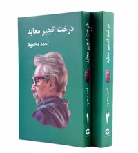 کتاب درخت انجیر معابد اثر احمد محمود انتشارات معین دو جلدی
