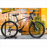قیمت و خرید دوچرخه 27.5 WStandard Pro T1 دبلیو استاندارد سایز 27.5 پرو تی وان 27 دنده دوشاخ بادی توپی بلبرینگی