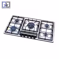 اجاق گاز صفحه ای استیل دنپاسر مدل اپکس بی