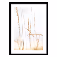 قیمت و خرید تابلو دکوراتیو مدل عکاسی مینیمال طبیعت کد 0475