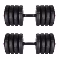 دمبل رادیس فیت مدل DVP-20-2.5 وزن 20 کیلوگرم بسته دو عددی