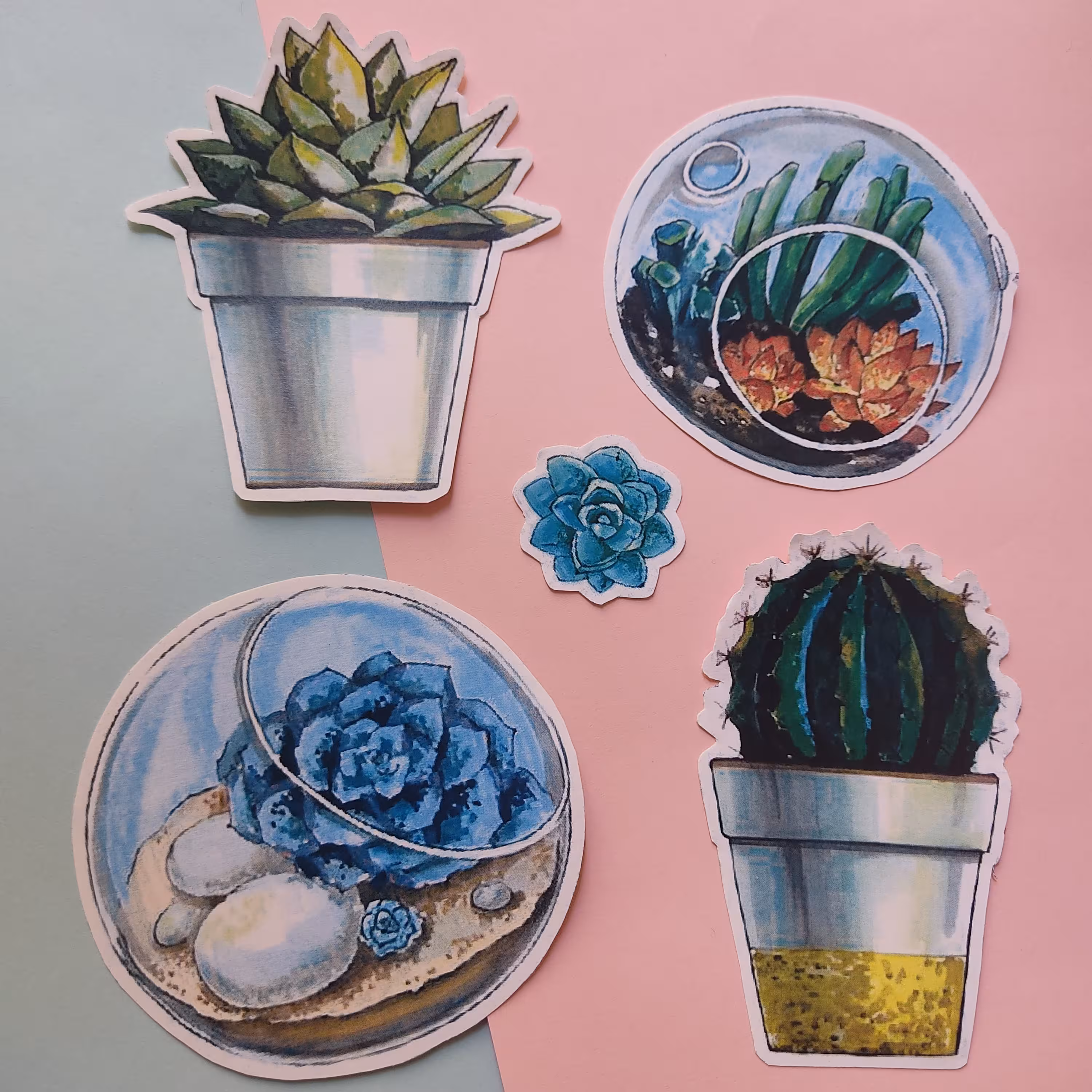 پک استیکر کاکتوس (برچسب) برش خورده 