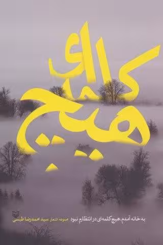 به خانه آمدم،هیچ کلمه ای در انتظارم نبود