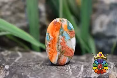 صدف خاردار ترکیبی