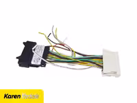 سوکت دزدگیر رنو تندر90 و ساندرو