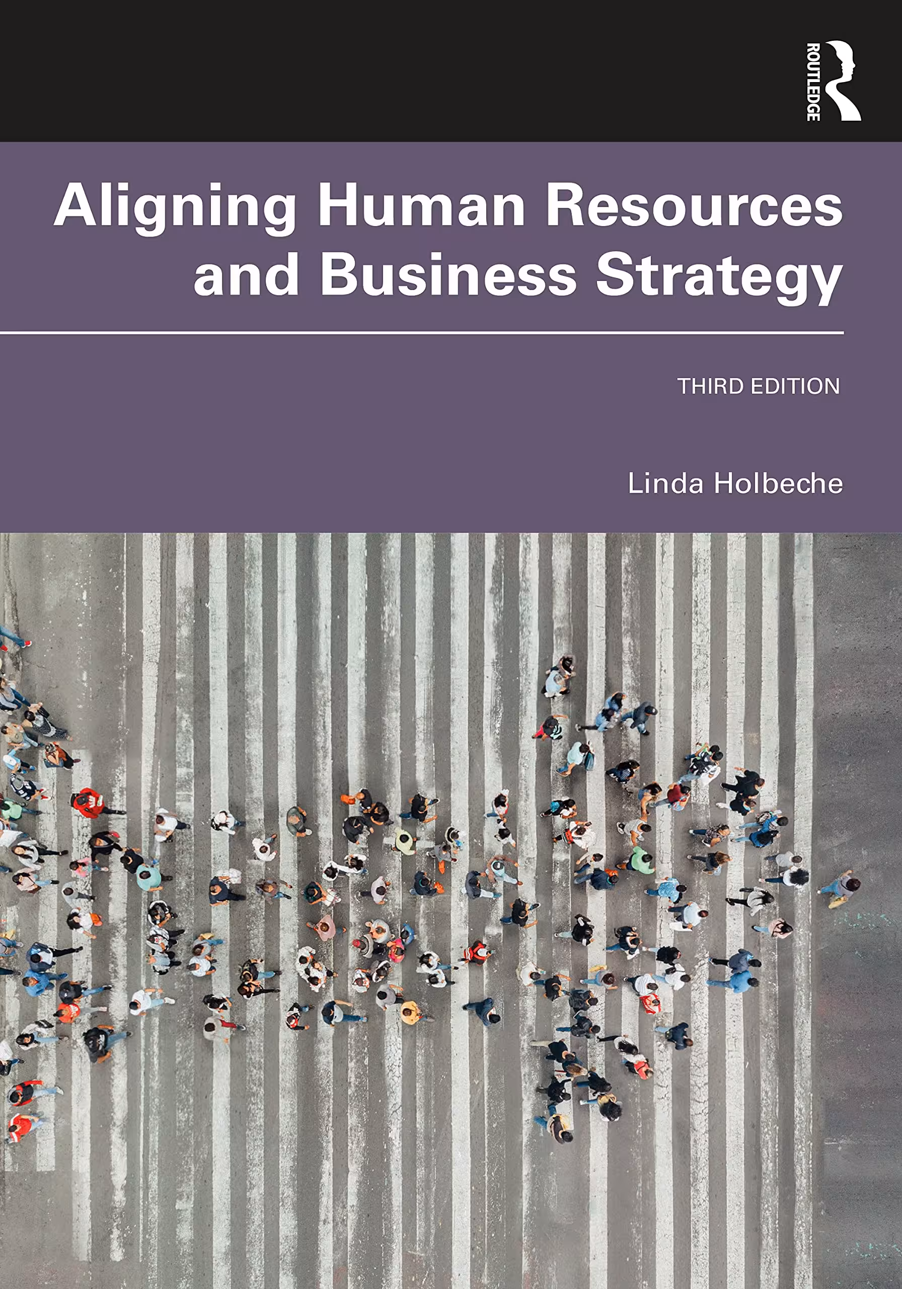 خرید و دانلود نسخه کامل کتاب Aligning Human Resources and Business Strategy