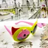 عینک آفتابی بچگانه مدل S829P2