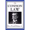 کتاب The Common Law اثر Oliver Wendell Holmes انتشارات Wilder Publications