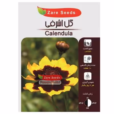 بذر گل اشرفی
