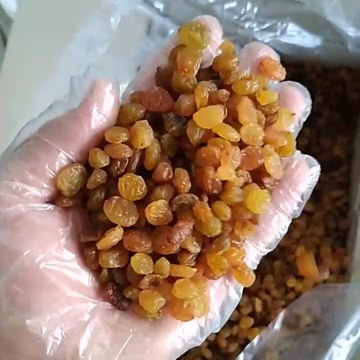 کشمش پلویی خوش رنگ(بسته 1 کیلوگرمی)