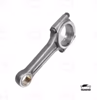 شاتون روا معمولی – عظام