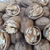 گردوی پوست نازک بلغار سایز درشت
یکدست