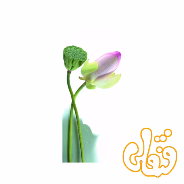 پازل رونزبرگر رز خوش نما Pretty Rose 15126