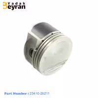 پیستون ولستر