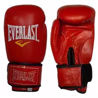 دستکش بوکس چرمی Everlast boxing gloves