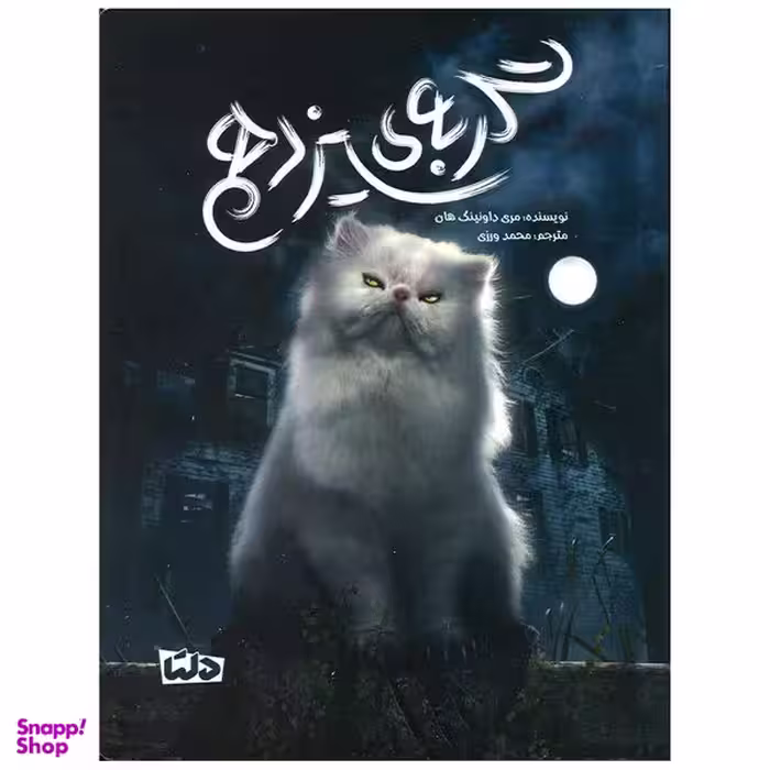 کتاب گربه سیزدهم اثر مری داونینگ هان نشر مهرسا