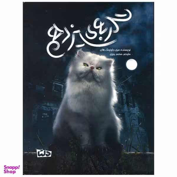 کتاب گربه سیزدهم اثر مری داونینگ هان نشر مهرسا