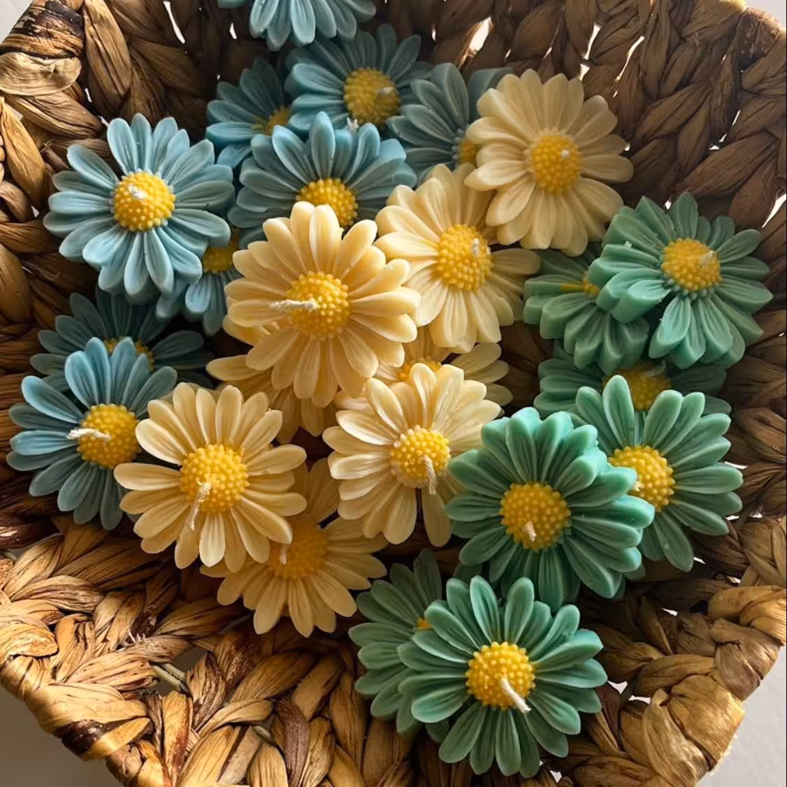 شمع گل مارگاریت یا بابونه