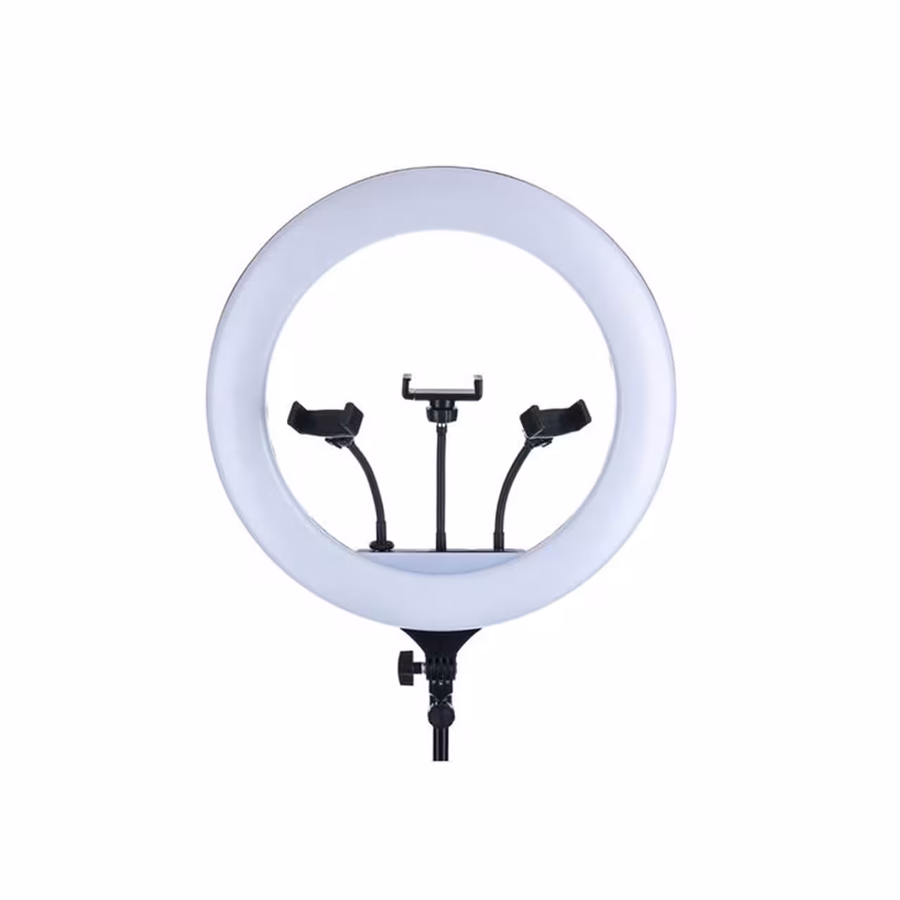 رینگ لایت 18 اینچ Zeus مدل LF-R480
