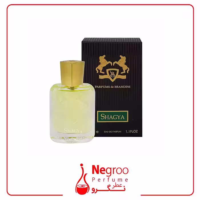 عطر مردانه پرفیومز دو مارلی شاگیا برندینی 33 میل| Brandini Shagya
