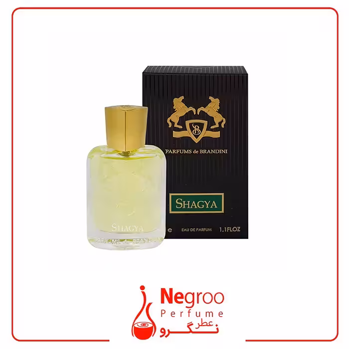 عطر مردانه پرفیومز دو مارلی شاگیا برندینی 33 میل| Brandini Shagya