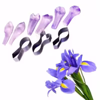 ست کاتر و وینر گل زنبق