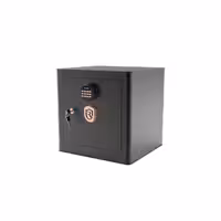 گاوصندوق روهینا مدل RO500 | چاوه