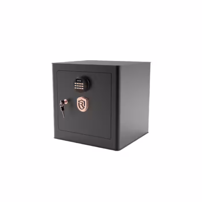 گاوصندوق روهینا مدل RO500 | چاوه