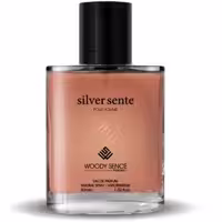 عطر جیبی مردانه وودی سنس مدل سیلور سنت (Silver Sente)، حجم 30 میلی لیتر