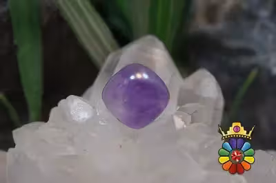 امتیست دامله(کاپوشی)