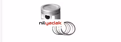 رینگ و پیستون سانگ یانگ تیوولی