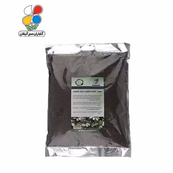 (بسته 36 عددی) بستر آماده کشت شفلرا بسته 4 کیلوگرمی