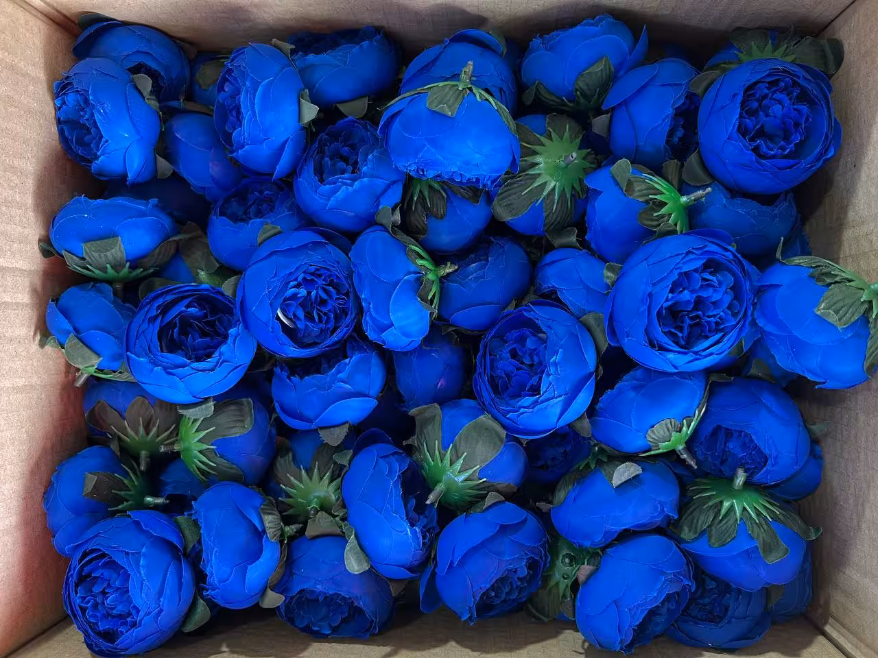 سرگل پیونی سایز متوسط رنگ آبی پررنگ 10عددی