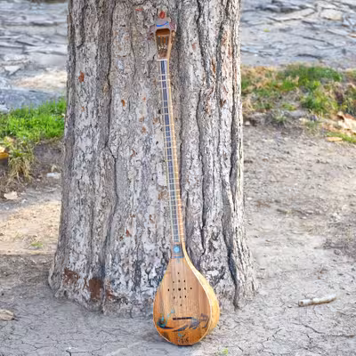 سه تار ایران ساز مدل رها