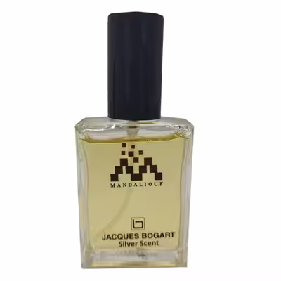 عطر جیبی مردانه مندلیف مدل سیلور سنت حجم 15 میلی لیتر